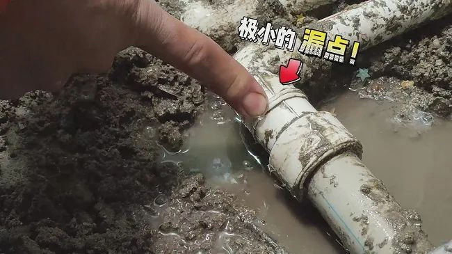 hoto-11